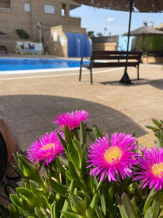 Apartamento Zona Marinador, Cerca A La Playa Oropesa del Mar Exterior foto